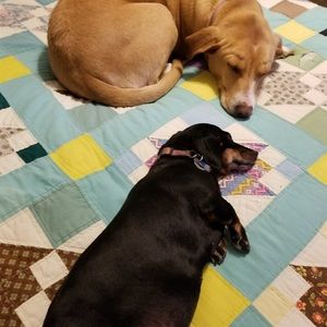 Meet your Posher, Michael